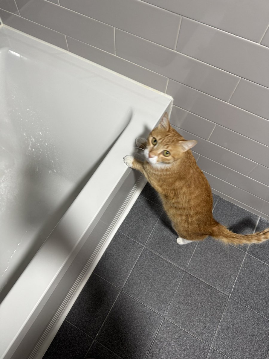 애미 씻기 전에 안전 확인. 이러고 나가서 문앞에서 다 씻고 나오길 기다려줌. 부럽죠?