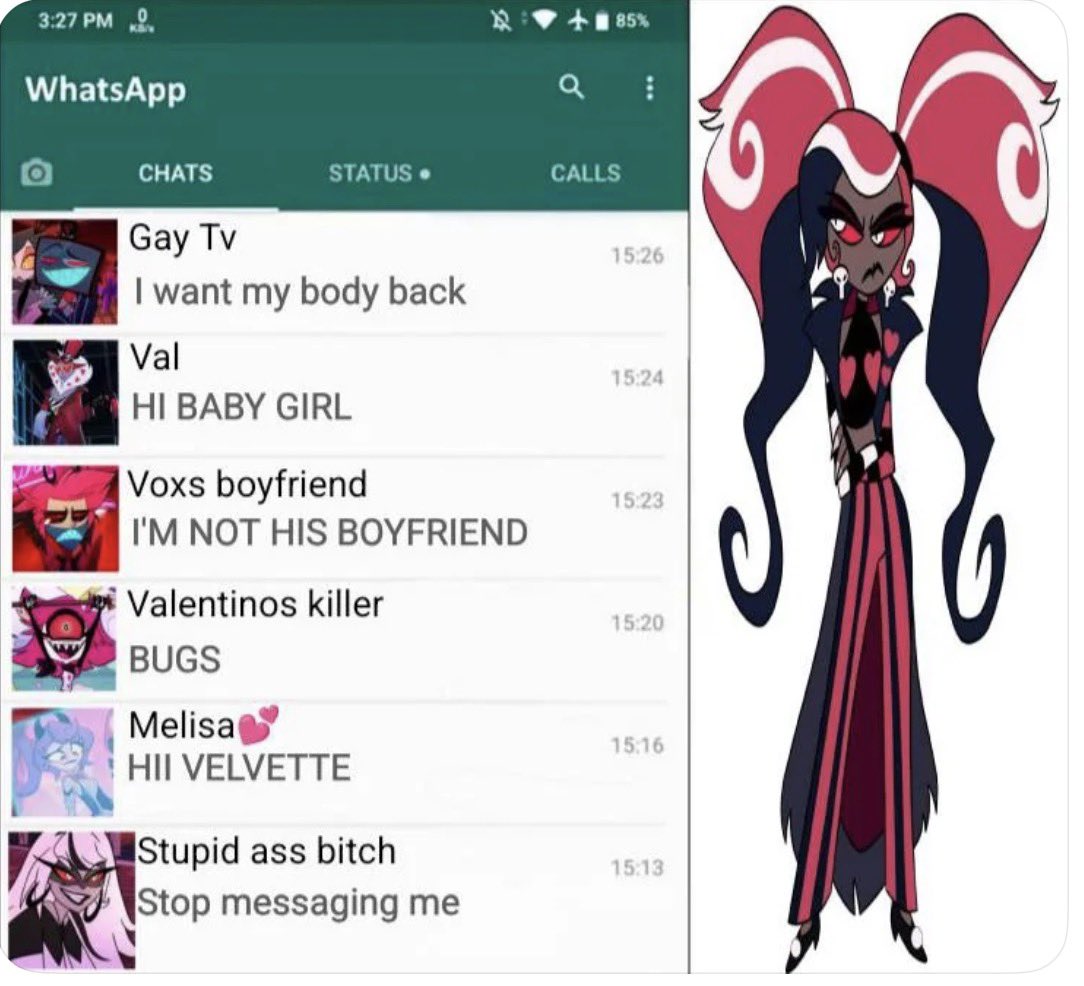 If  velvet had WhatsApp