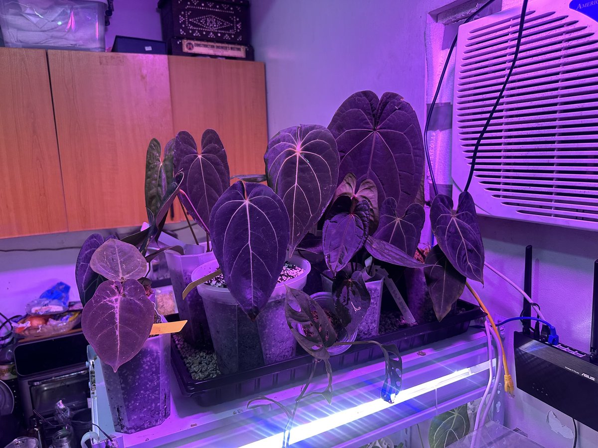 BJ (@ohcoolbryan) on Twitter photo 