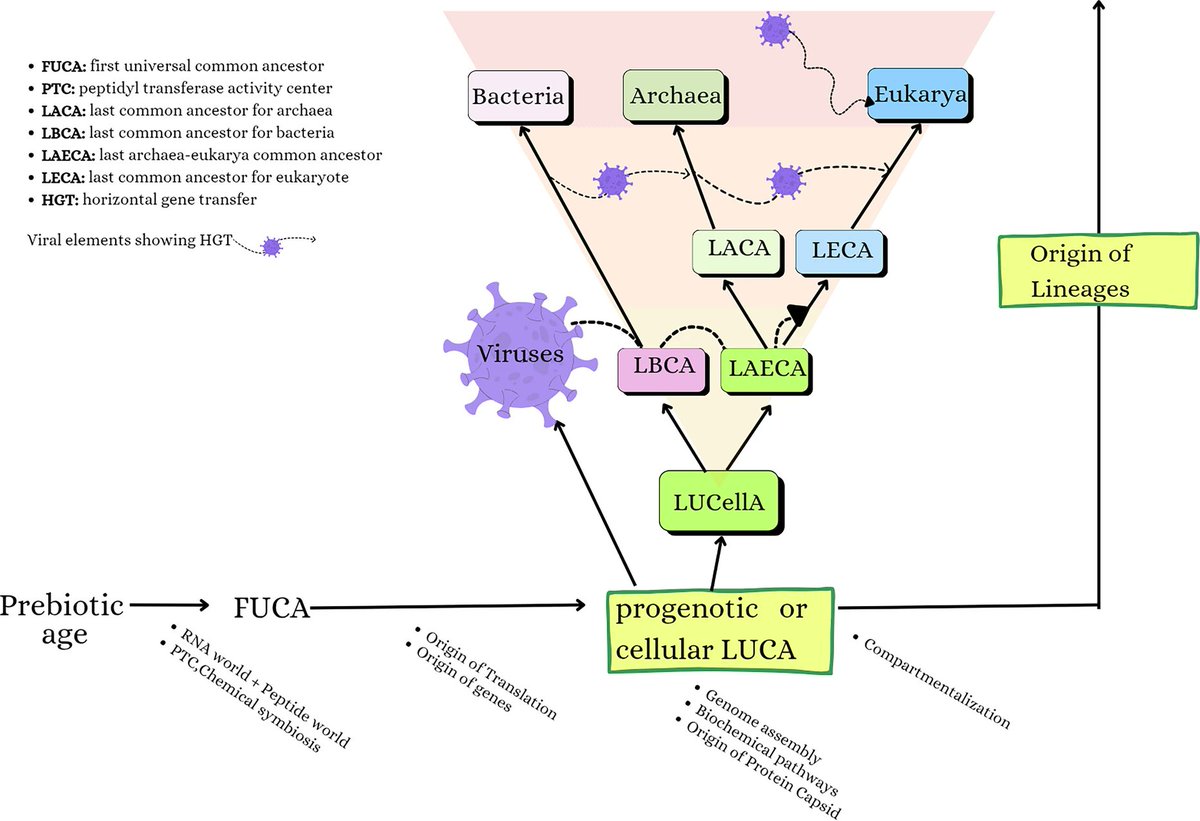 Evgenii Protasov tweet media