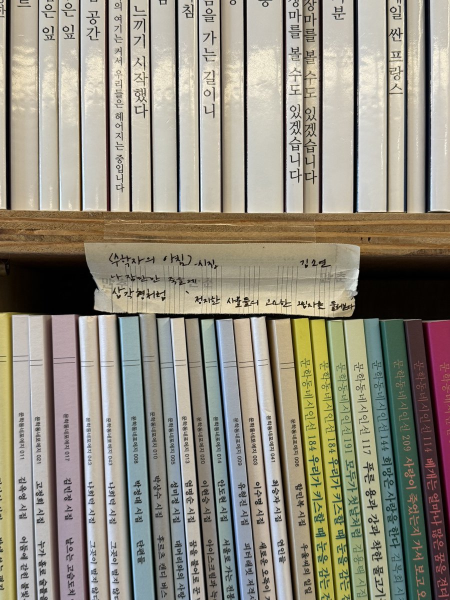 제주도 험난했고 재밌었다 🍊🌪️ ..