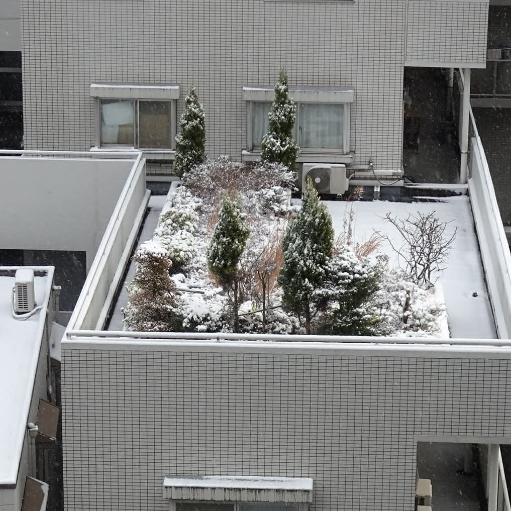 雪化粧のビル毛🧑‍🦳👩‍🦳。今日は関東でもたくさん降りましたね〜
（写真は友人による提供）

#ビル毛
#rooftop_hair