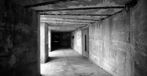 Litro Magazine tweet media