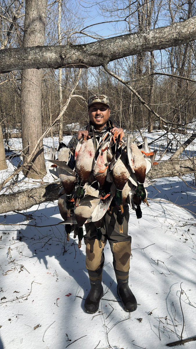 _dshine's tweet photo. BDE 🦆 https://t.co/z5HICu1uVU