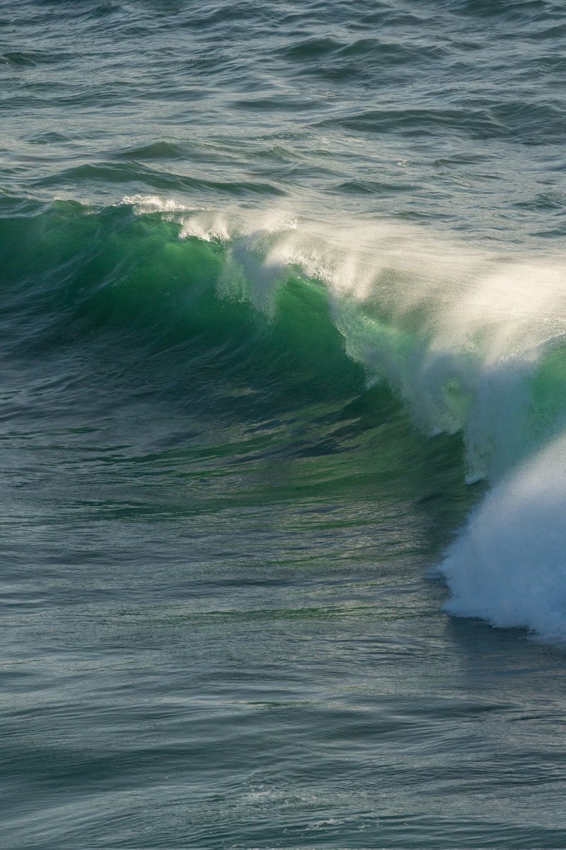 Breizhhollgaret tweet media