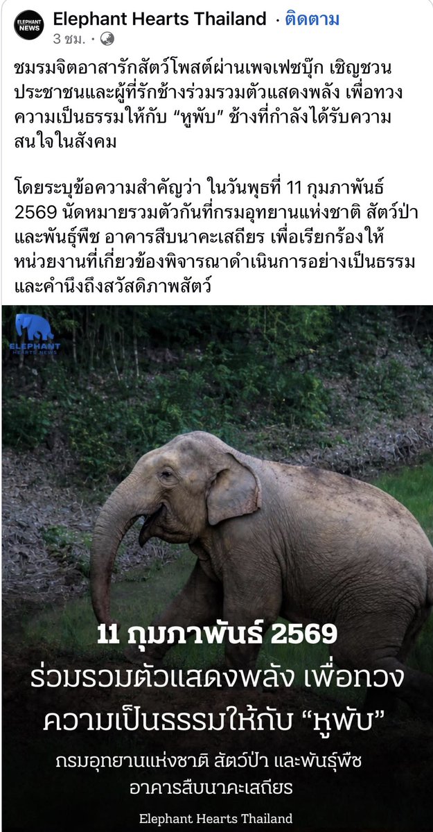 น้องต้องไม่ตายฟรี🐘🐘🐘