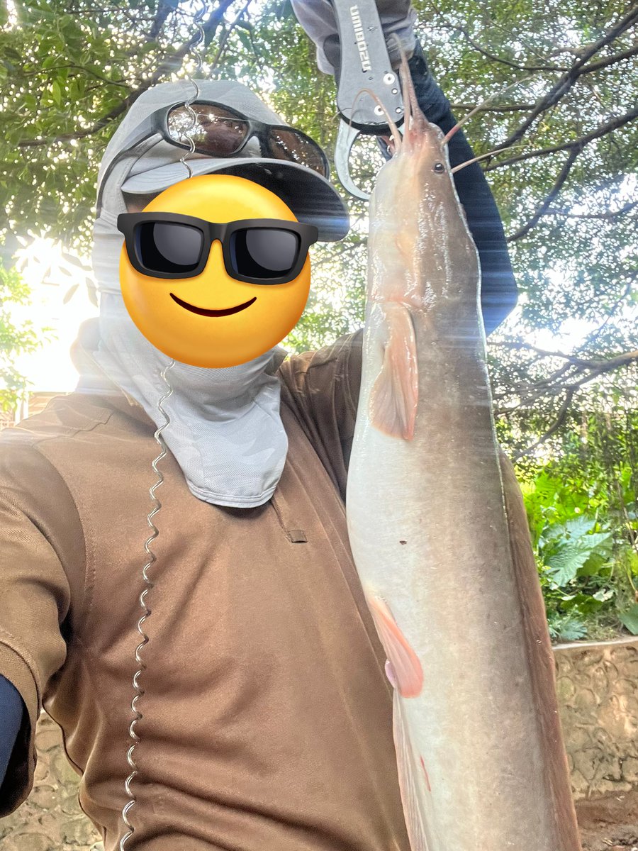 釣りという趣味 (@XieNaFishing) / Posts / X