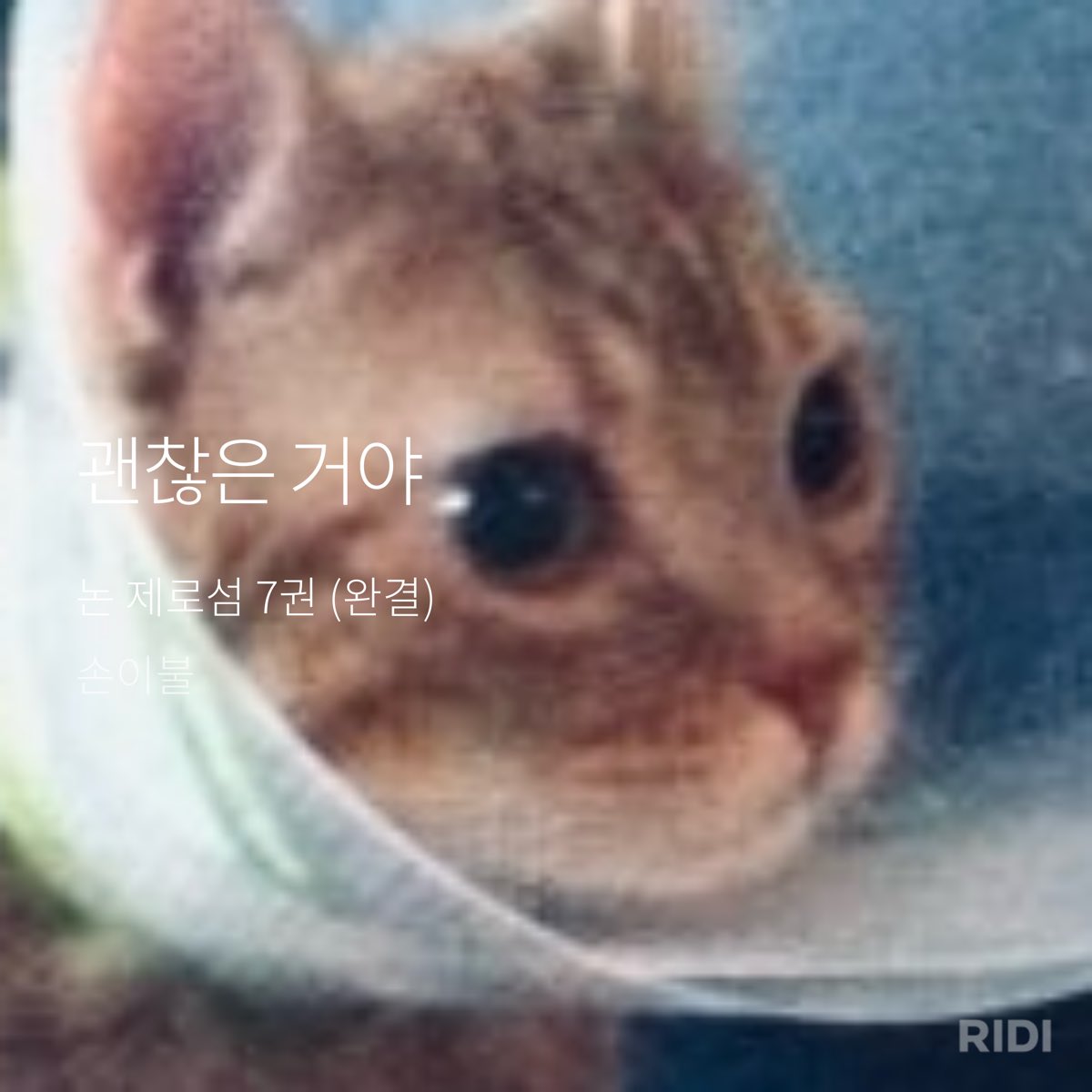 서다락 tweet media