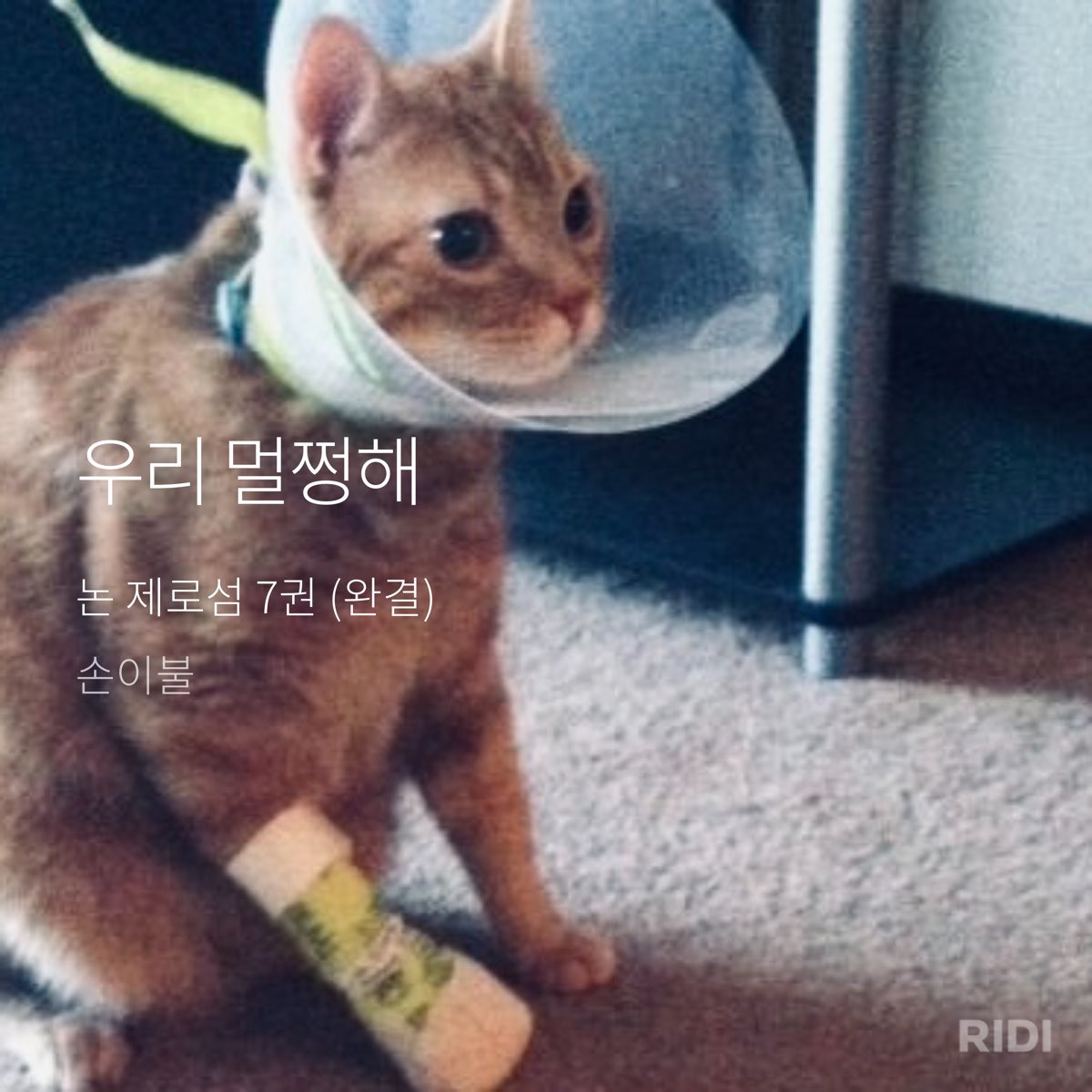 서다락 tweet media