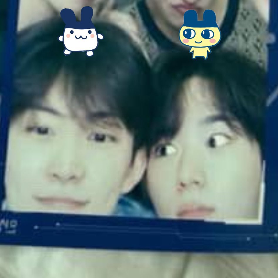 초원 ᵔ︡⩊ᵔ︠ tweet media