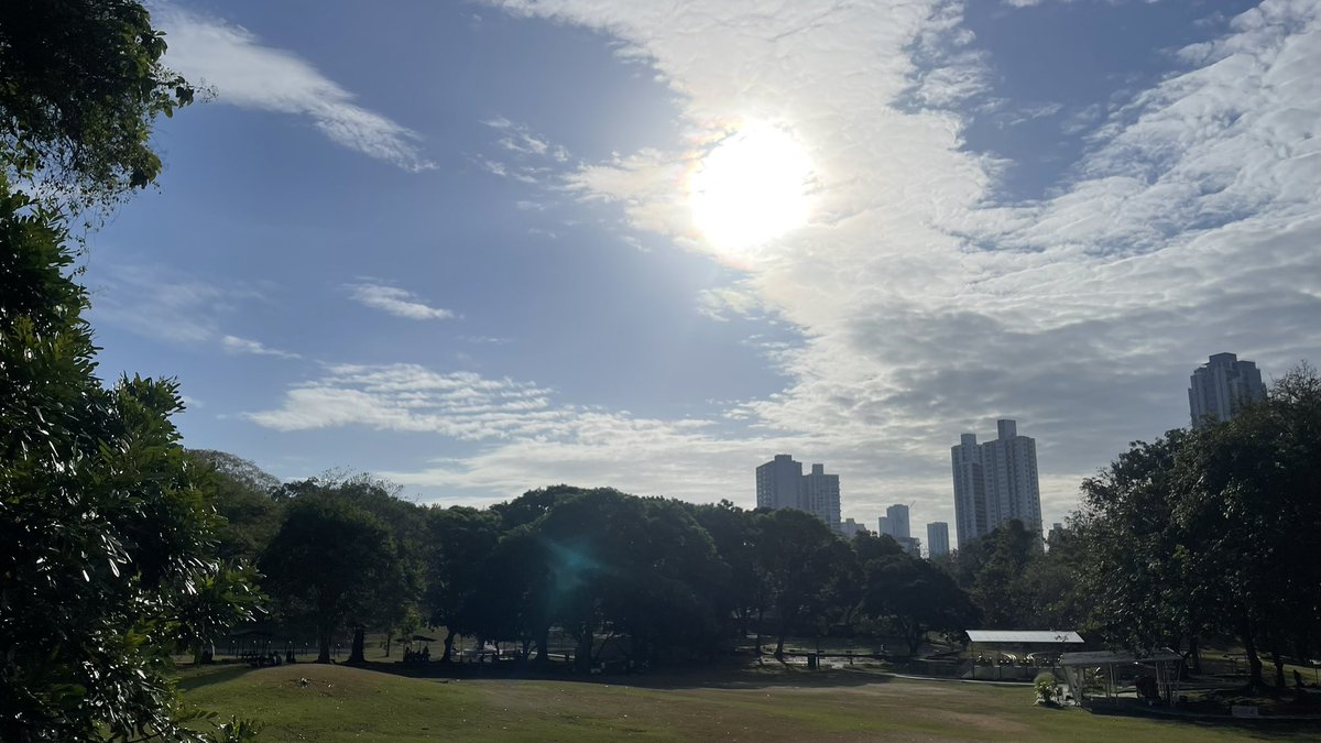 Feliz domingo 😎🫡🙏