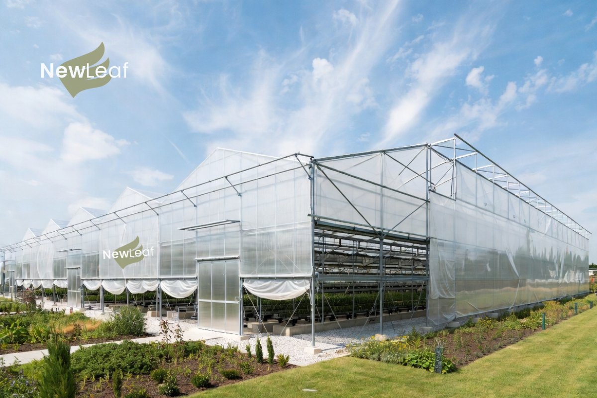 RELIEVA by New Leaf Finance tweet media