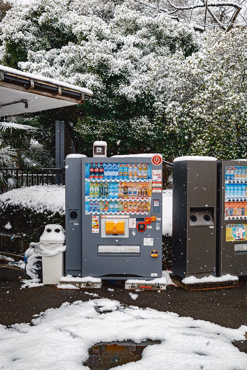 ebi_times's tweet photo. 上野に降った雪 https://t.co/gD0dq0nhsd