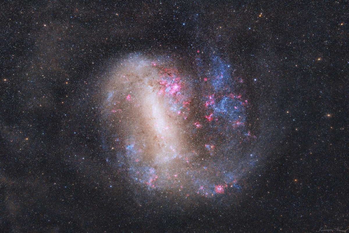 alex_riveiro's tweet photo. Esta es la Gran Nube de Magallanes, la galaxia satélite más grande de la Vía Láctea. Es unas 20 veces más grande que la luna llena en el firmamento. Allí está la Nebulosa de la Tarántula, la región de formación de estrellas más activa de todo el Grupo Local (del que forman parte la Vía Láctea, Andrómeda, la galaxia del Triángulo y multitud de galaxias satélite). Crédito: I. Nowak #FelizDomingo