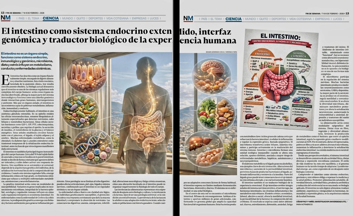 CesarPaz_y_Mino's tweet photo. El intestino como sistema endocrino extendido, interfaz genómica y traductor biológico de la experiencia humana. #NOTIMERCIO. Por @CesarPaz_y_Mino @UTEoficial @UTEsalud @uteconvoz https://t.co/ynoasgq3RP https://t.co/EczFU1Bqbs