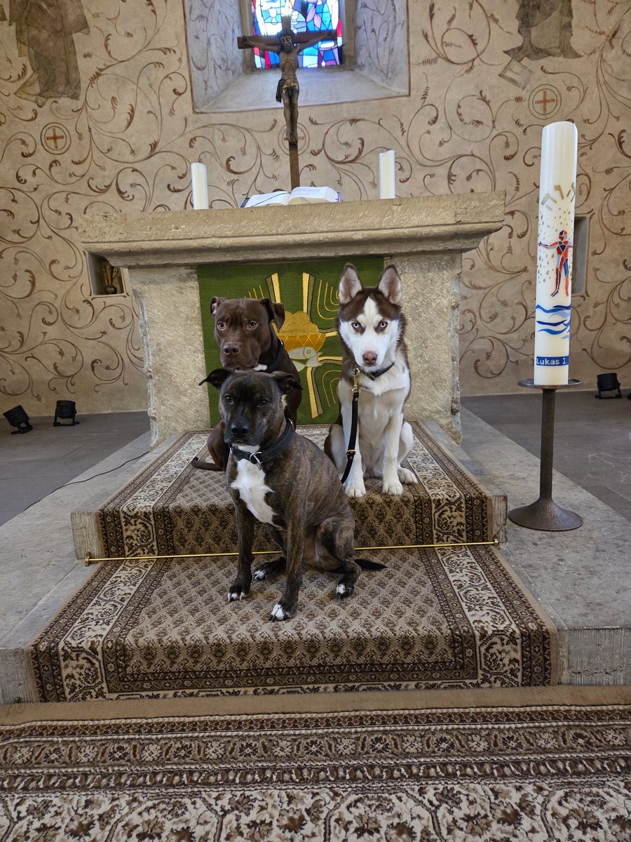 EnergyBorder's tweet image. Ares: Zu viel Nachdenken zerstört deine Stimmung. Es macht alles schlimmer als es ist. Atme tief durch und habe vertrauen, denn es wird passieren, was passieren soll.