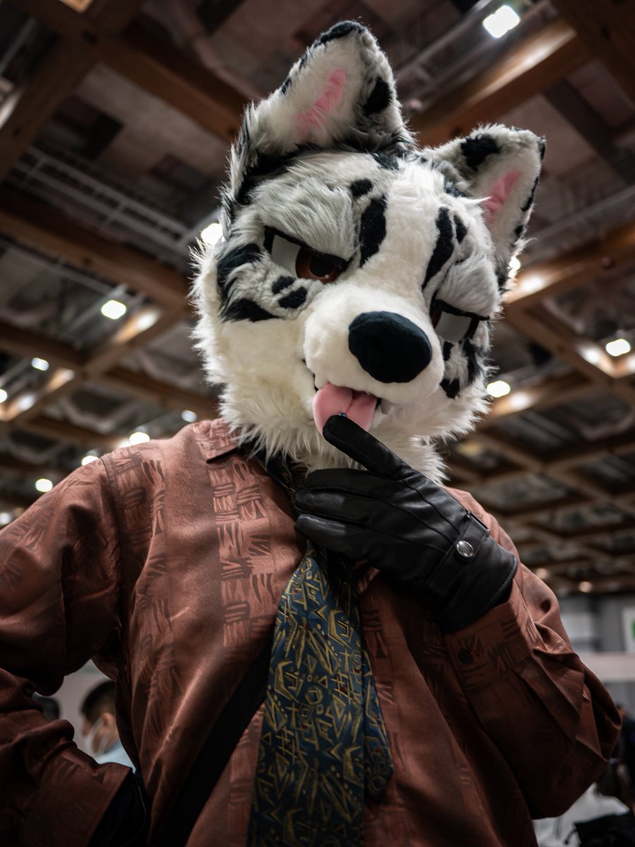 犬伏けんた🐾 (@inuinukenken03) / Posts / X