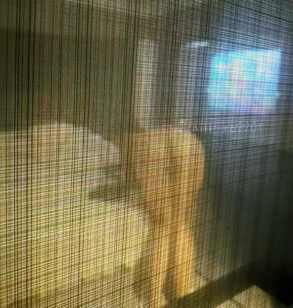 ちひろ tweet media