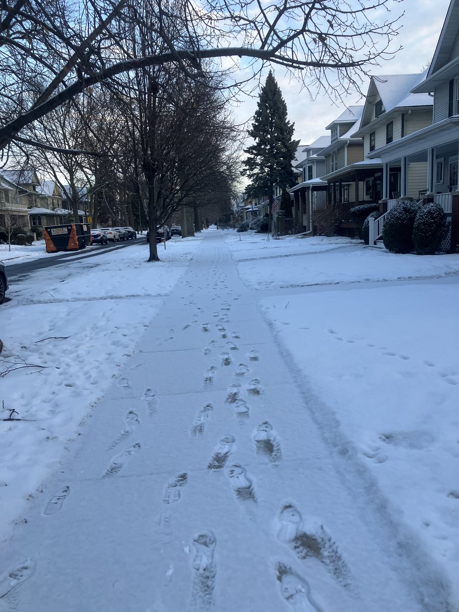 Birds are chirping 👍🚶☕️🍩