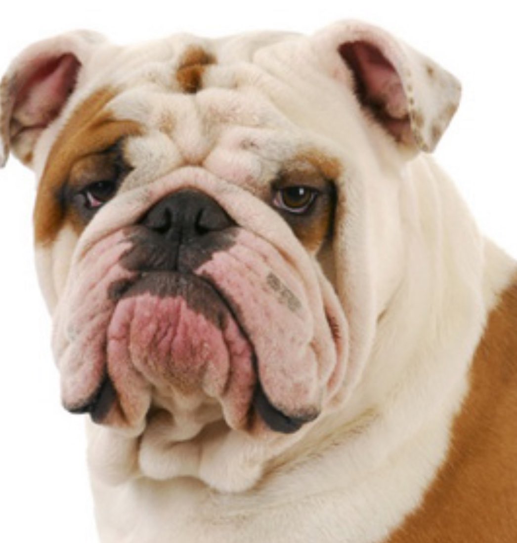 One Less Lonely N*gga, MBA 👸🏽 tweet media