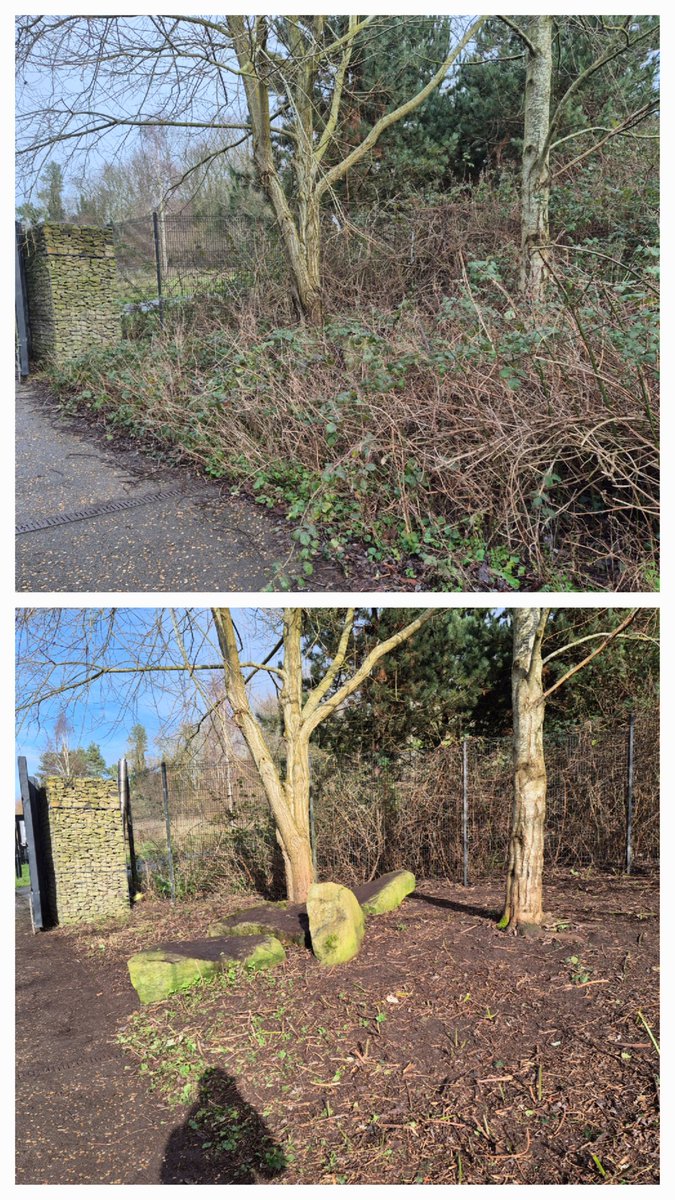 Friends of Festival Gardens tweet media