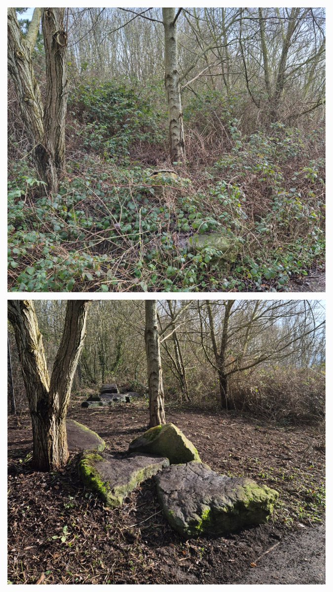 Friends of Festival Gardens tweet media