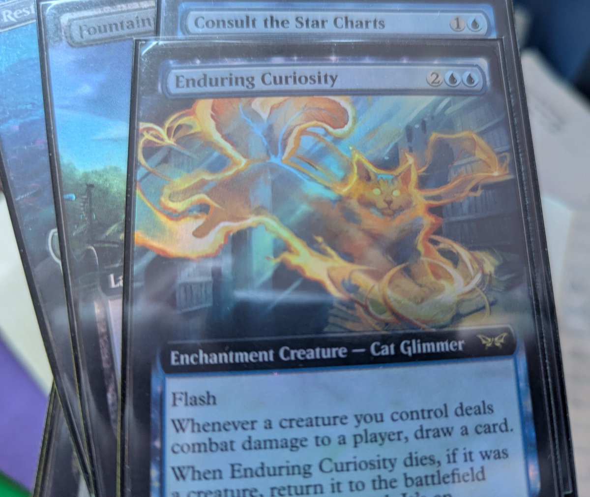 Duresspacito - Store Champion, Again tweet media