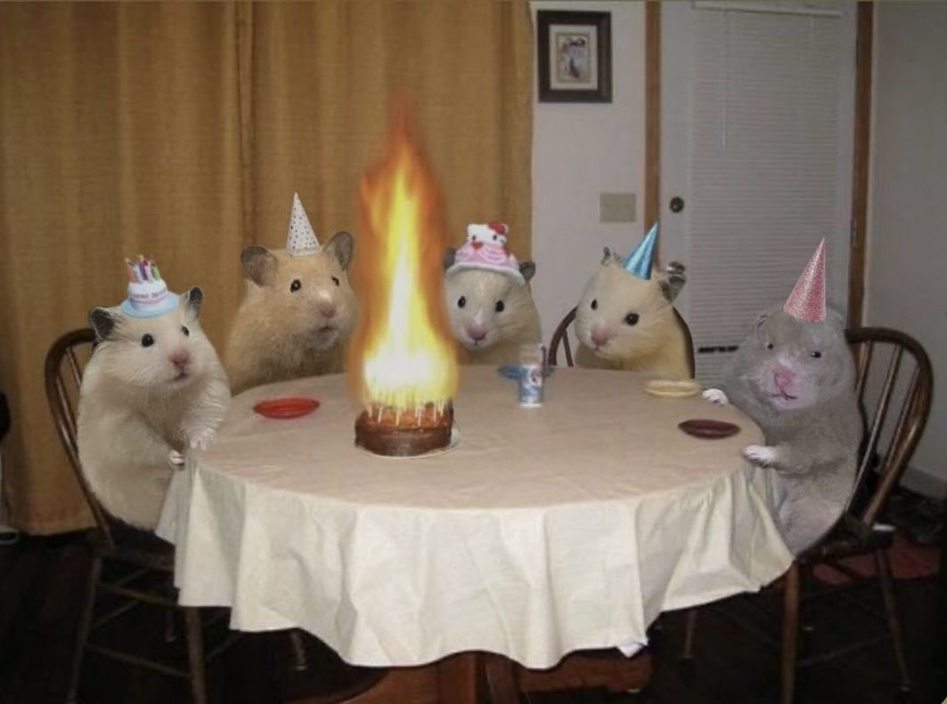 hpbd nakaaa my p’wan🥳🎂🤍 ขอให้พี่สาวมีความสุขที่สุดในโลกในปีนี้ รวยๆๆเฮงๆๆ เรามันนัมเบ้อวันอยู่แล้วน้อง ยังไงก็ปัง เพี้ยง🤟🏻 <a href="/wfromwan/">achilles heel•́⁠ ⁠ ⁠</a>