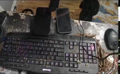 Media Poisoned tweet media