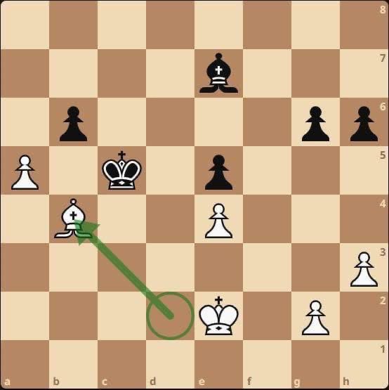 Chess Feed tweet media