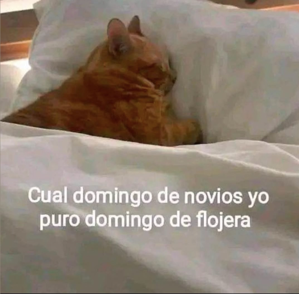 Mis domingos.
