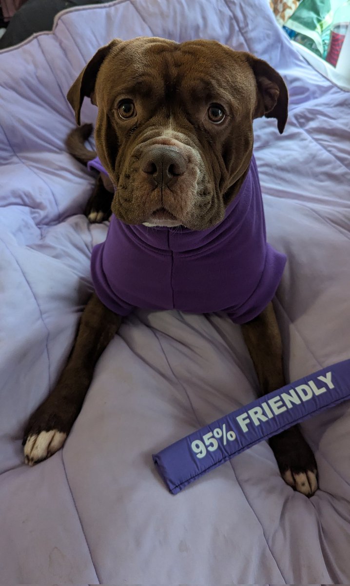 felix ⧗ tweet media