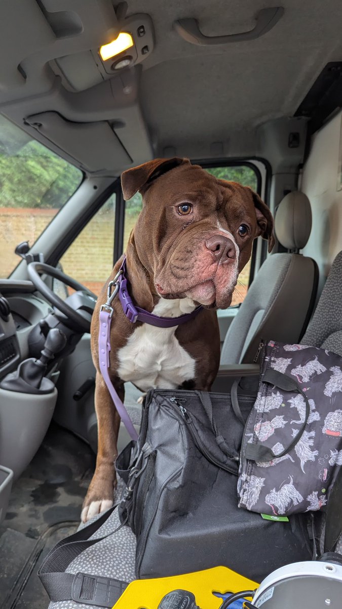 felix ⧗ tweet media