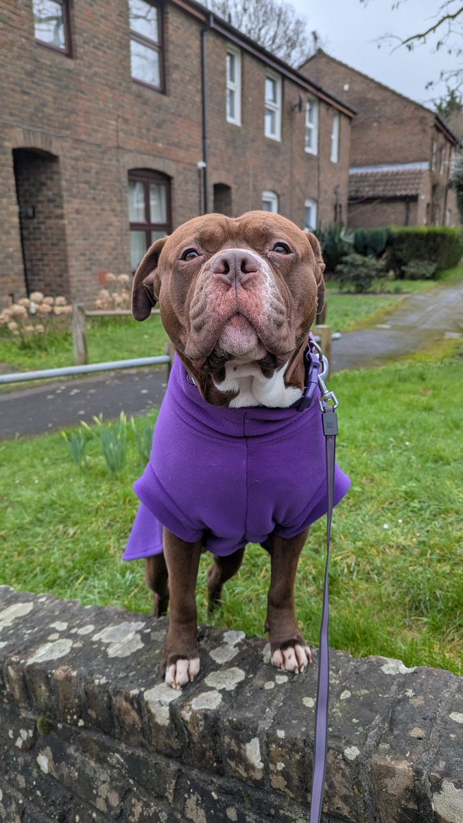 felix ⧗ tweet media