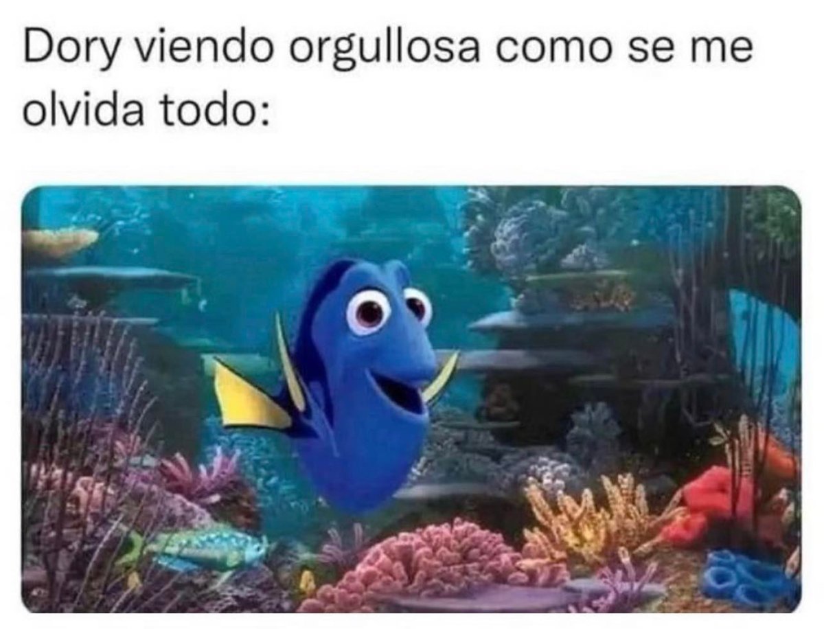 MagicMundi's tweet photo. La mejor aprendiz de Dory soy yo ✌️ https://t.co/GM69KoG3sn