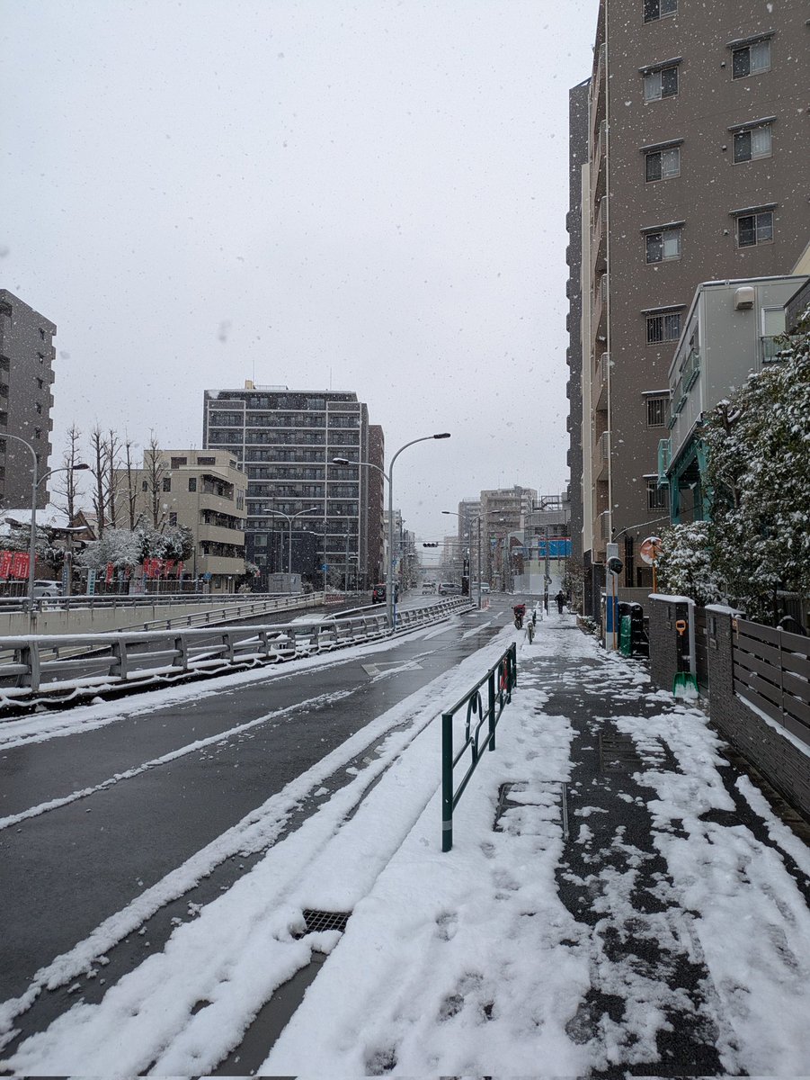 Plectrum_Pro's tweet photo. 【雪の日も練習】
今日は皆様ご存知の通り、朝から雪が降り凍てつくような寒さでしたが⛄❄、プラネタリウムの演奏会は本日も練習でした💪
練習後寒すぎてサウナで暖を取ったメンバーもいるとかいないとか、、 https://t.co/qkUOVrI1bq
