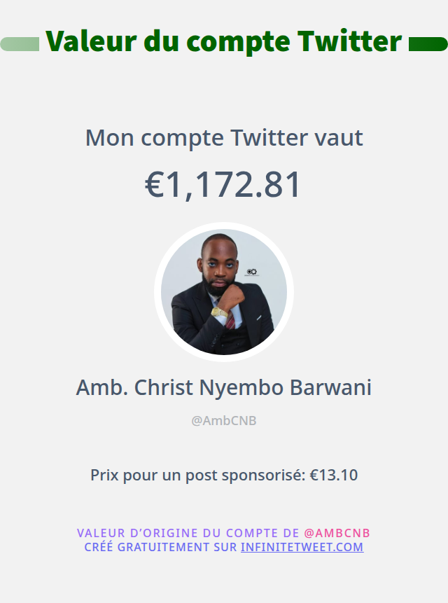 Amb. Christ Nyembo Barwani tweet media
