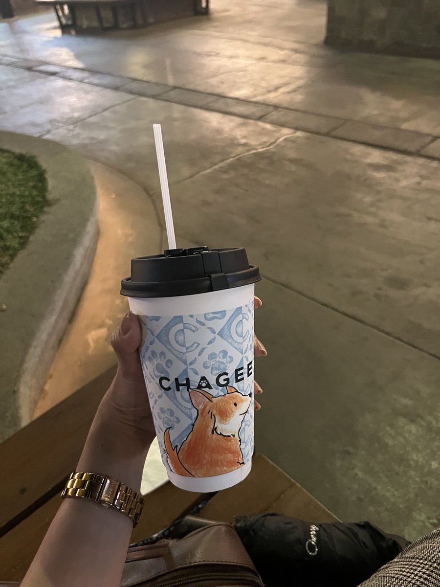 Ms. Fairy 🎀 OPEN! tweet media