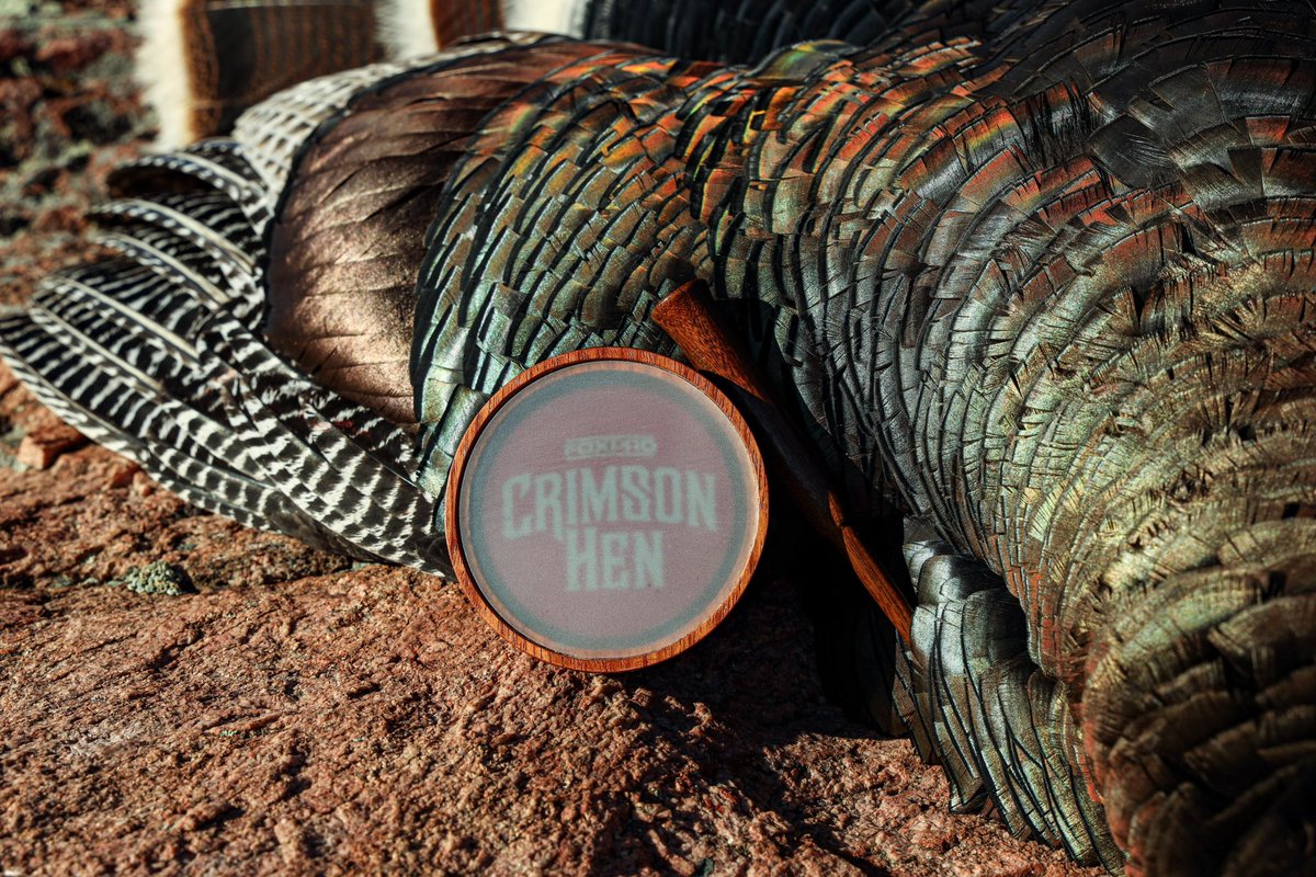 FOXPRO Inc. tweet media