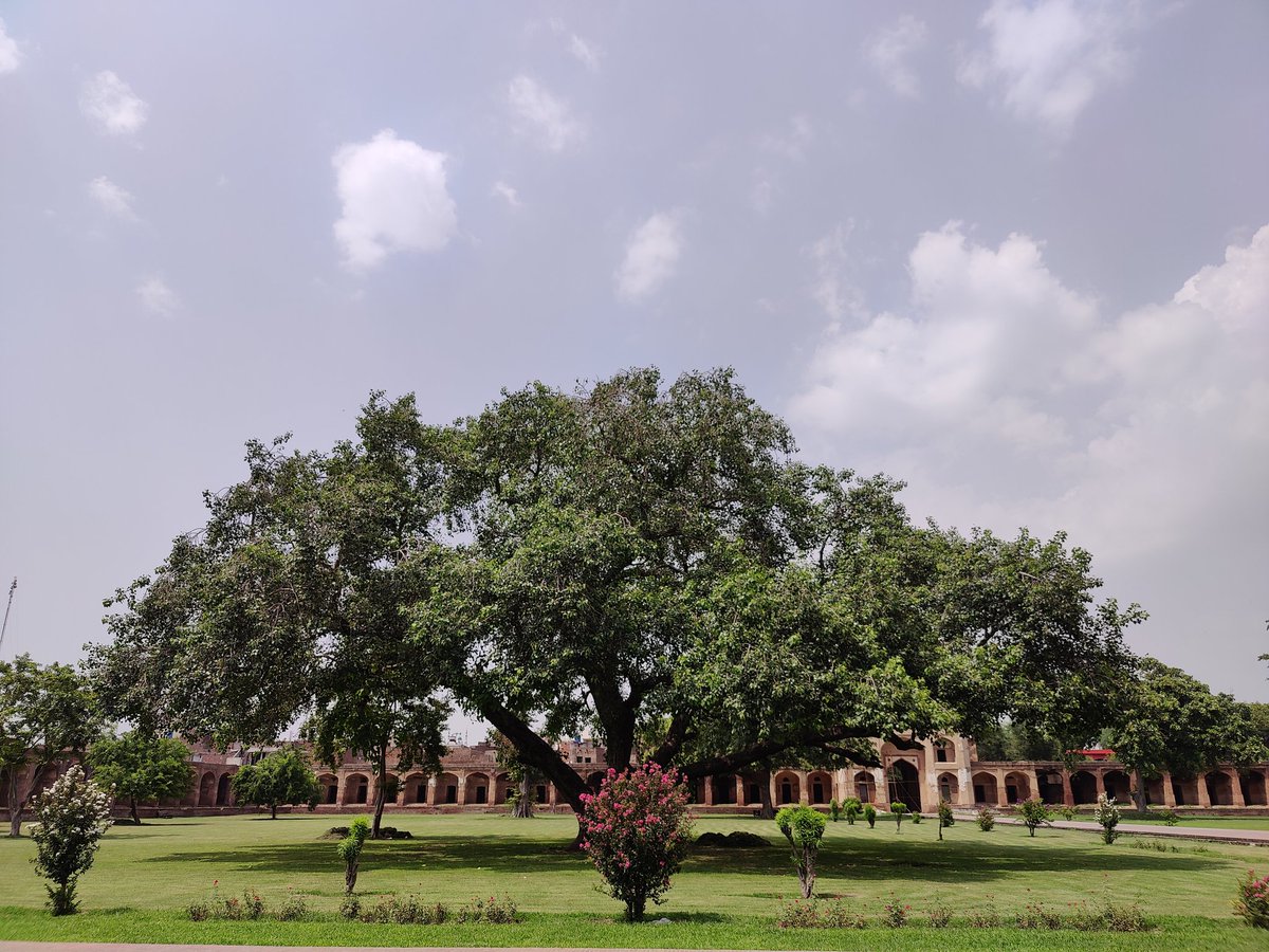 سیر کر دنیا کی غافل زندگانی پھر کہاں