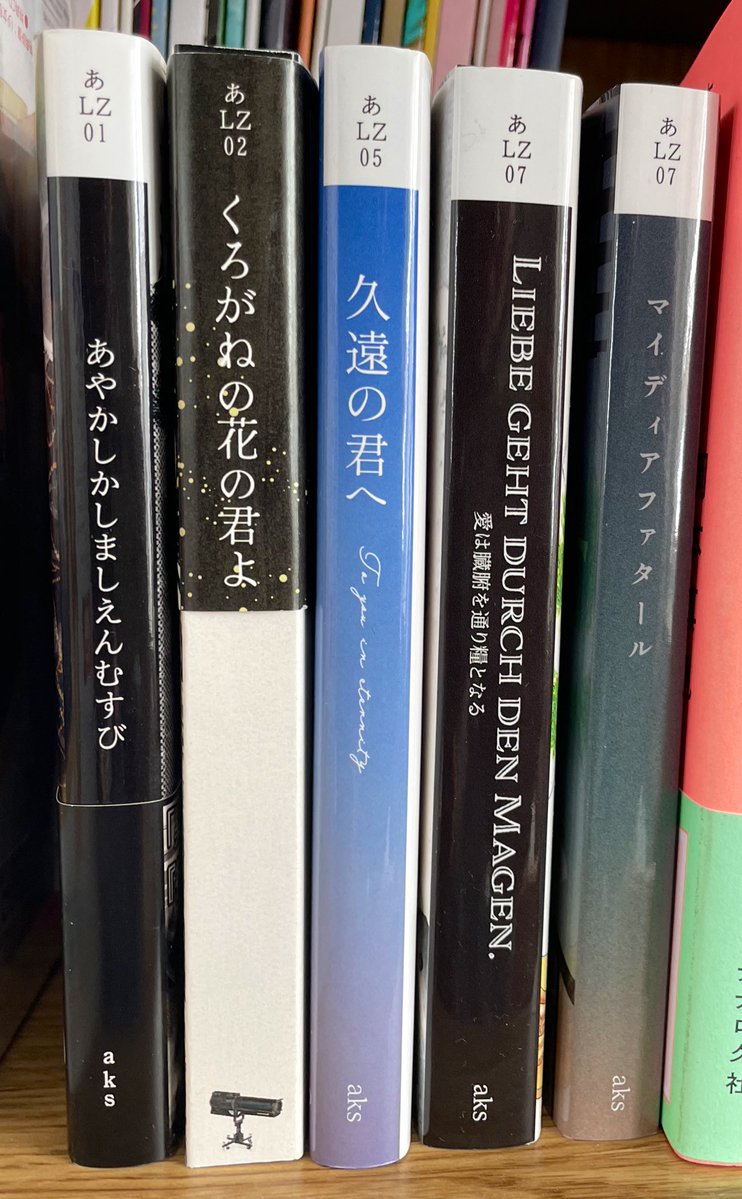 前回の本がナンバリング間違ってたことバレるんですけど、今回の本でロゾ七冊目でした。文庫サイズじゃないの別のとこに置いてるので写真上は五冊ですが…。結構出しましたねえ。
今後ともよろしくお願いいたします🙇‍♀️