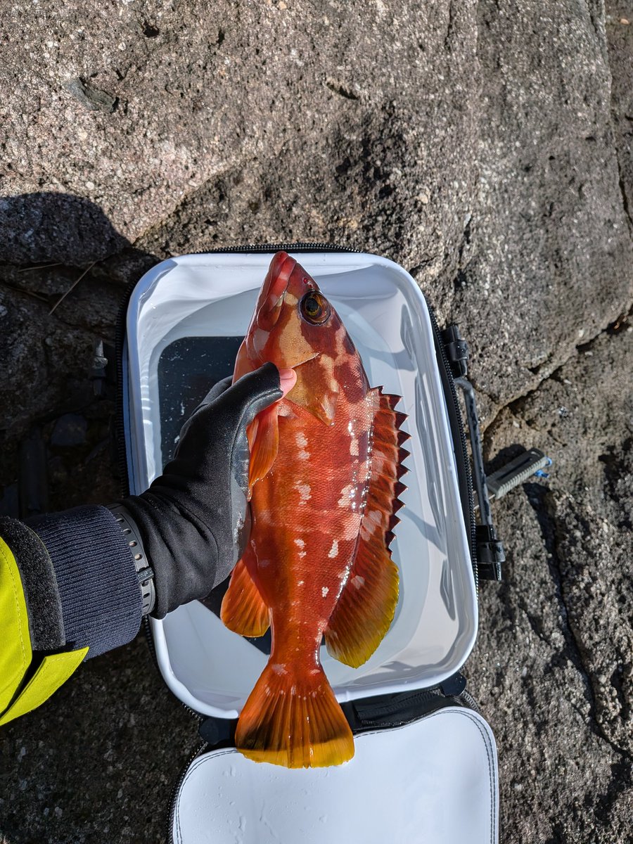 MTI@山アカ tweet media