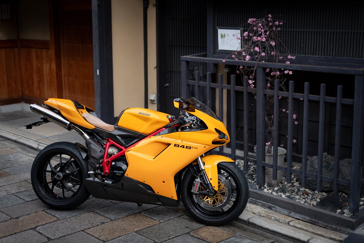 kazumi_traveler's tweet photo. こいつホンマたまらん美しいな https://t.co/mCPddgksf6