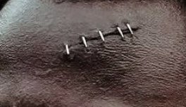 Quafliks tweet media