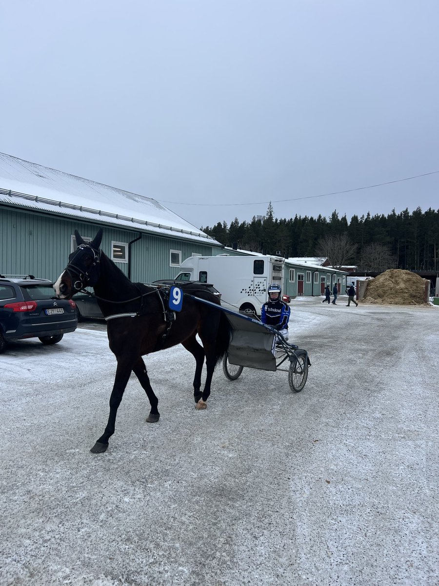 Ising Racing tweet media