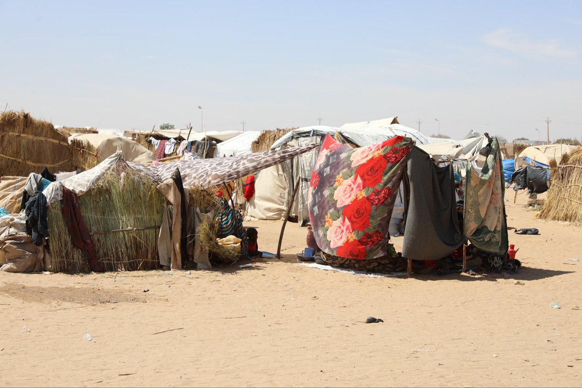 _UnfpaSudan's tweet photo. .@FabriziaFalcio1 met with women displaced from South Kordofan State, who arrived at Goz Al Salam Camp in White Nile State after weeks of arduous displacement. She reaffirmed UNFPA’s commitment to expanding its reproductive health and protection interventions in White Nile State https://t.co/IHiVPryGtb