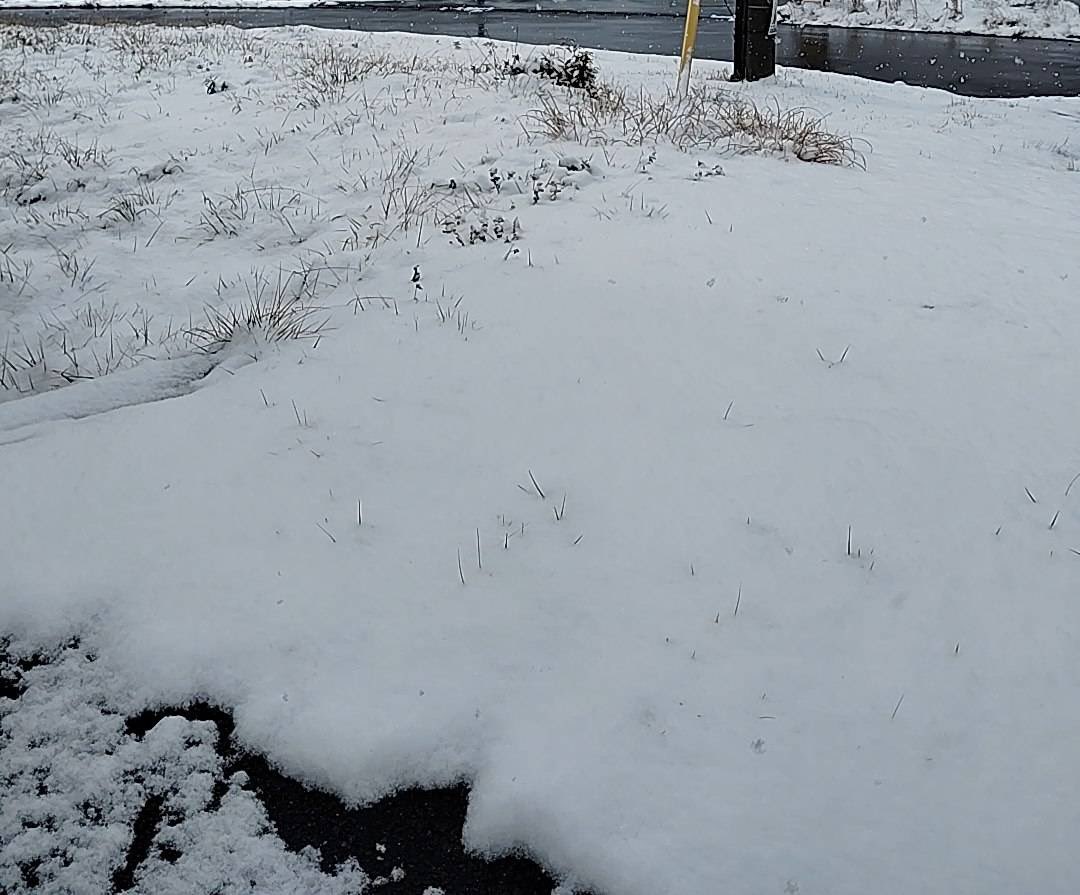 こんなに積もるとは、、、茨城じゃないみたい