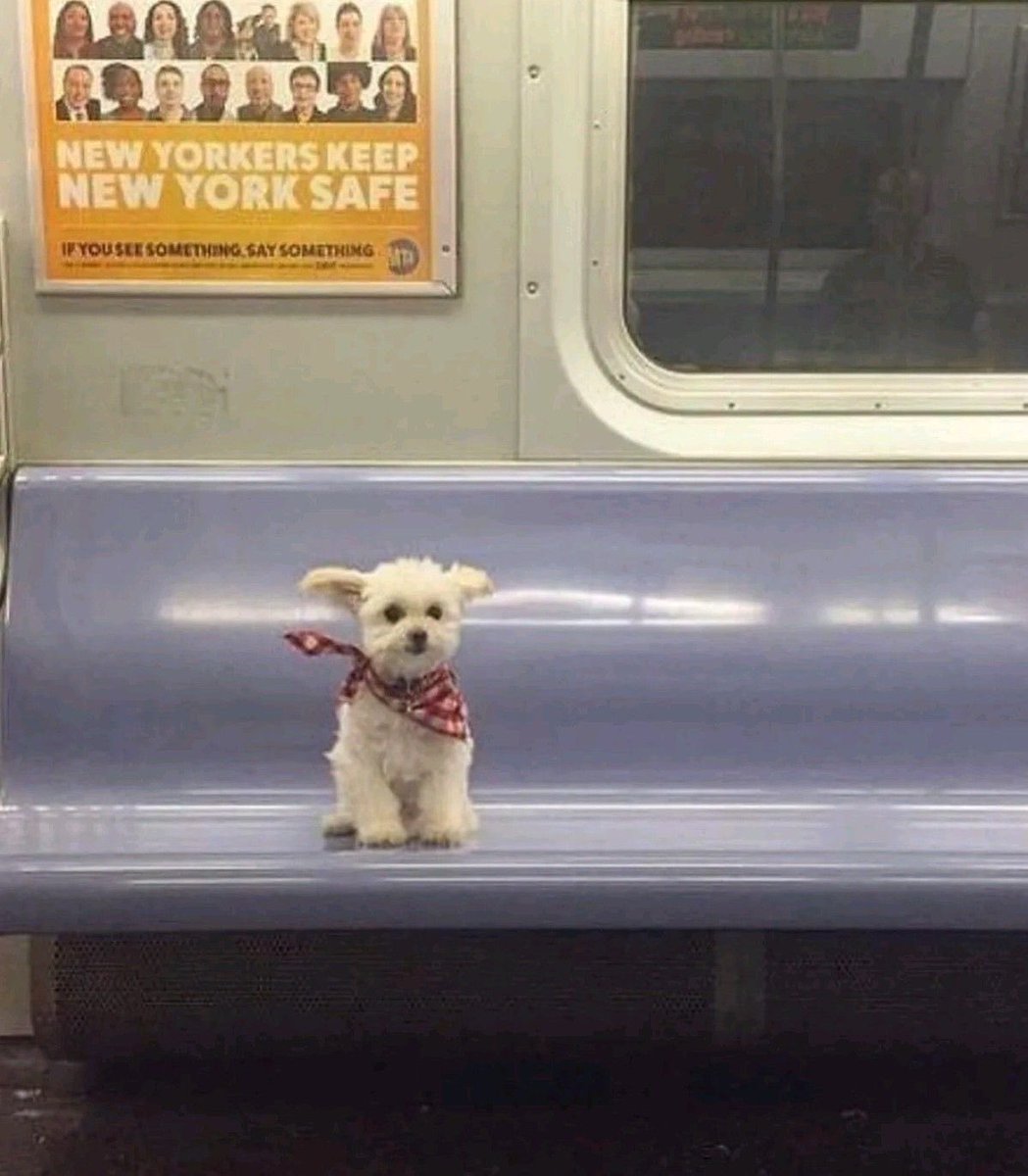 Ⱉ (@913tol) on Twitter photo 