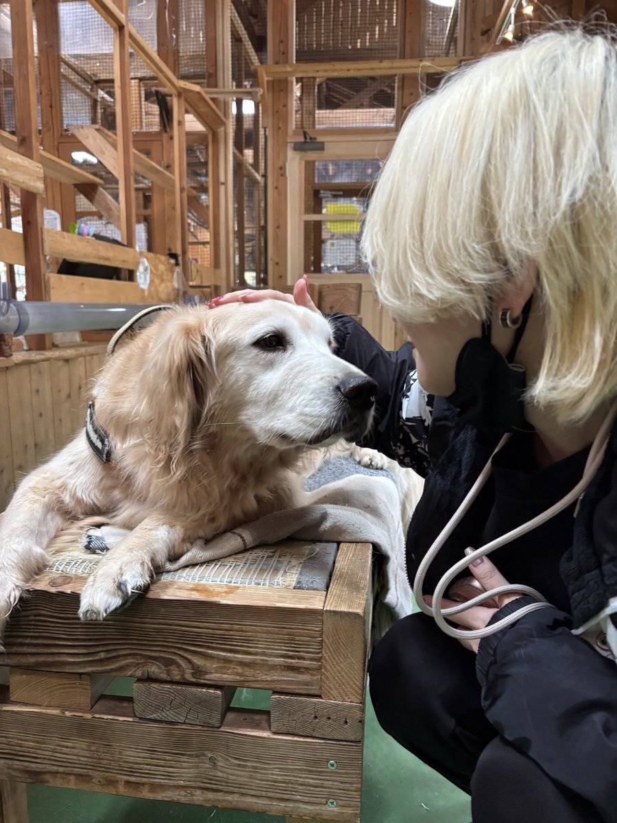 きなこおおおおお😭😭😭😭