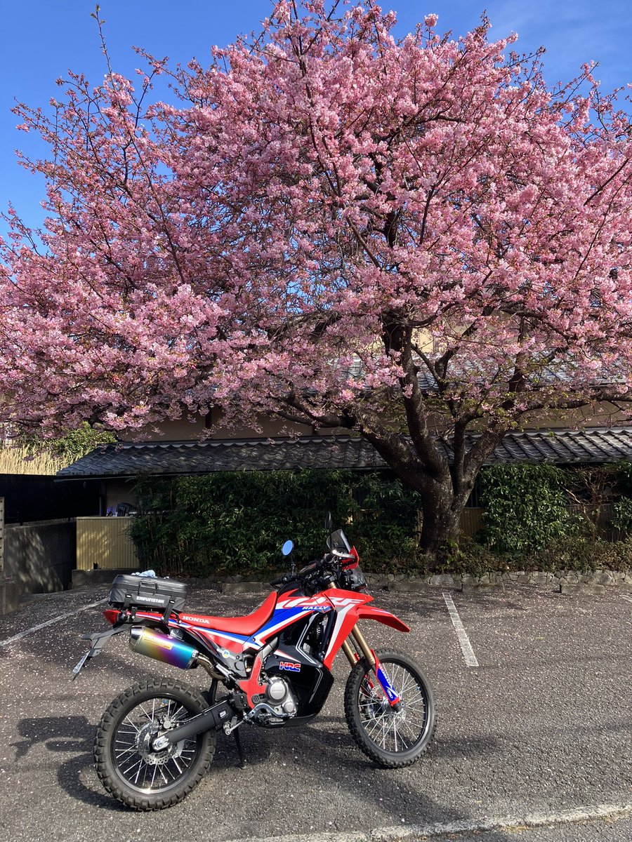 mekazawa32's tweet photo. 金曜日に久しぶりの伊豆
#crf250
#バナナワニ園 https://t.co/geAIPqpVx1